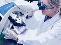 深圳大龄试管医院成功率揭秘，哪家医院值得选？